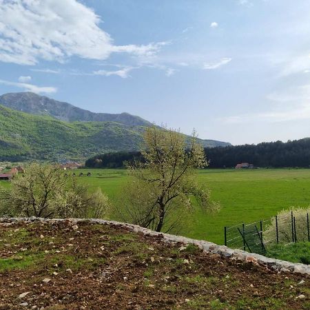 Porto Njegusi A2 Lejlighed Cetinje Eksteriør billede